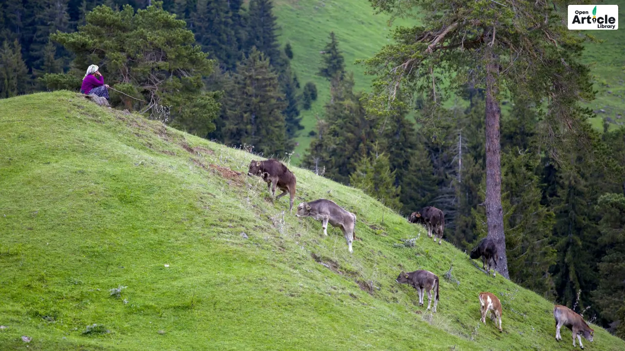 Photography Spots, Wildlife & Nature