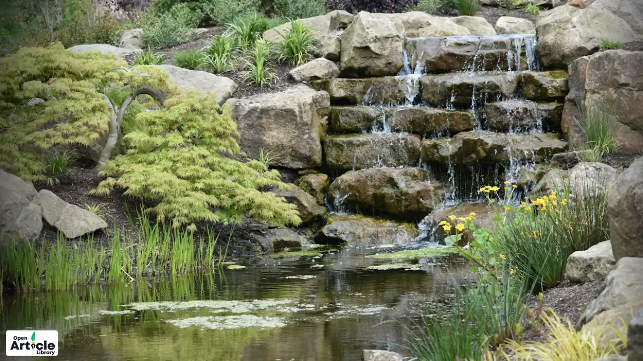 rock garden ranchi timings