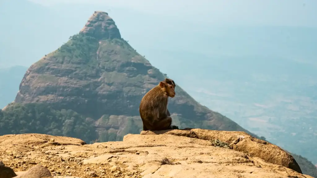 what-tiger-point-lonavala What is Tiger Point Lonavala?